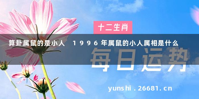 算卦属鼠的是小人 1996年属鼠的小人属相是什么